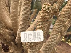 -南通洲际绿博园