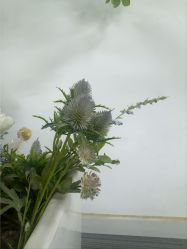 -AM半永久纹眉