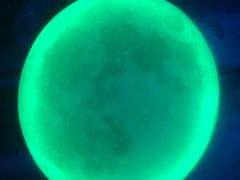 -天津梵高星空艺术馆(天河城旗舰店)