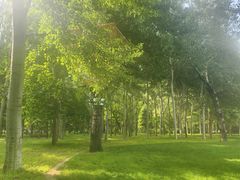 -大望京公园