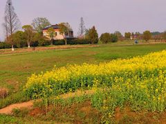 -良渚古城遗址公园