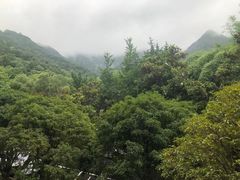 -黄岩国际大酒店·餐厅