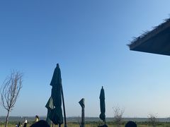 -七的湖·晚芳亭·阳澄湖农家菜·大闸蟹(莲花岛店)