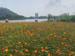 -顺峰山公园