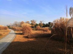 -长广溪湿地公园