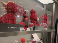 -ROSEONLY诺誓(沈阳万象城店)
