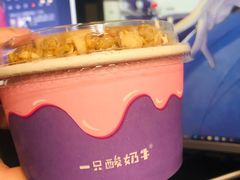 -一只酸奶牛(锦城万达天虹店)