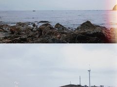 -仙人岛