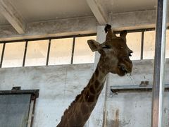 -石家庄市动物园