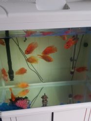 门面-缪斯造型Muse style