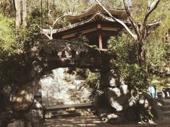 -河源客天下-温泉小镇