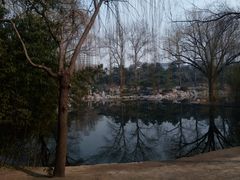 -紫竹院公园冰场