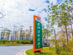 -芒洲湿地公园