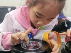 -神奇科学家STEAM科学实验科创赛事机器人编程逻辑思维MadScience(长宁来福士校区)