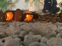 -J Create城市露营咖啡·简餐·宠物(上海动物园店)