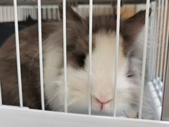 -小意思咖啡店(草桥店)