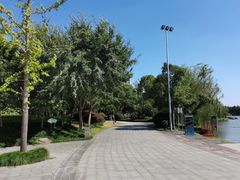 -南翔镇银翔湖公园