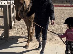 -北京群众马术培训基地