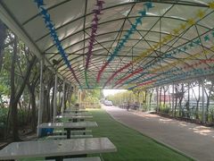 -天下先生态园农庄CS团建露营地(海鸥岛店)