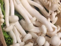 -大龙燚火锅