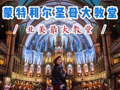 -蒙特利尔圣母圣殿