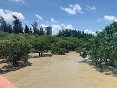 -宝安西湾红树林湿地公园