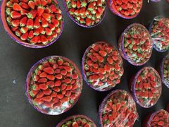 -江杨农产品批发市场