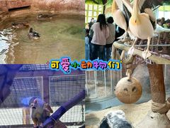 -海合安武汉极地海洋公园