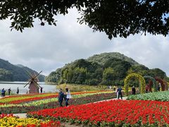 -广州市石门国家森林公园
