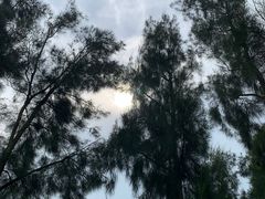 -漩门湾国家湿地公园