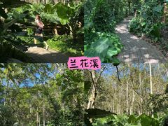 -呀诺达热带雨林