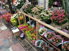 -秦美花卉(天朗·莱茵小城2期店)