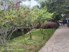-无锡蠡湖国家湿地公园-蠡园
