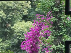 -大妙火锅·非物质文化遗产(东湖公园店)