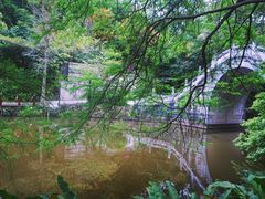 -深圳仙湖植物园