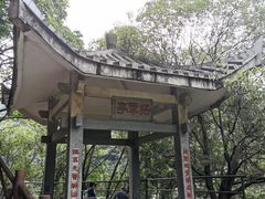 -九鲤湖风景区