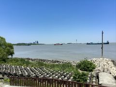 -上海滨江森林公园