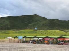 -扁都口生态休闲旅游区