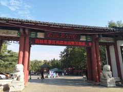-百脉泉景区