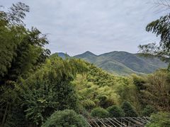 -宁波浙东大竹海景区