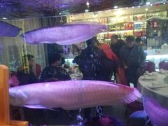 -聚鑫阁江浙菜·非遗传承技艺(闵行交大店)