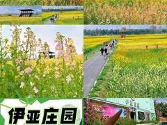 -三圣花乡旅游区