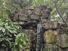 -秋霞圃