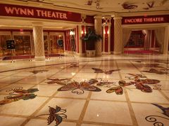 -拉斯维加斯永利酒店