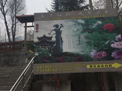 -盛世牡丹苑生态文化旅游区