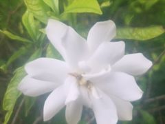 -逸仙华庭