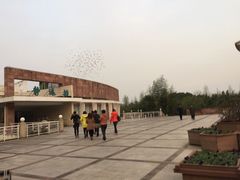 -上海市保健医疗中心(华东疗养院)