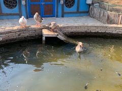 -南宫五洲植物乐园