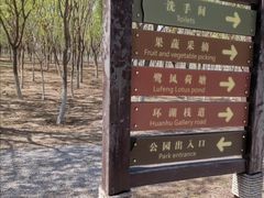 -西青郊野公园