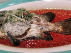 -高老庄新家宴(北斗星广场店)